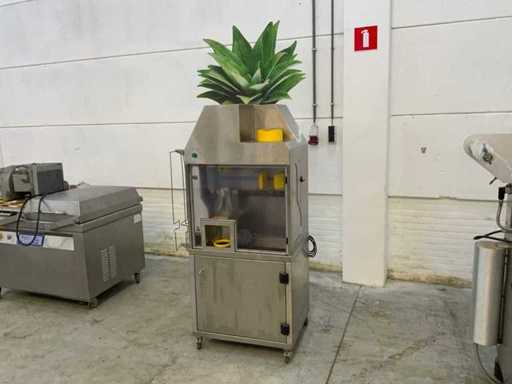 219 Thompe Pineapple peeling / coring and slicing machine