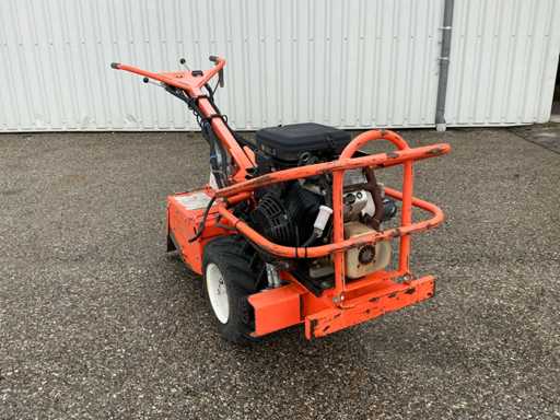 Barreto 1620 Tuinfrees