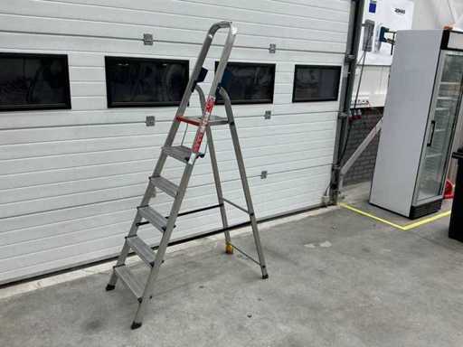 Altrex Expansion Ladder