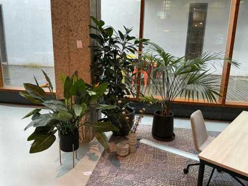 Im Topf pflanzen (3x)