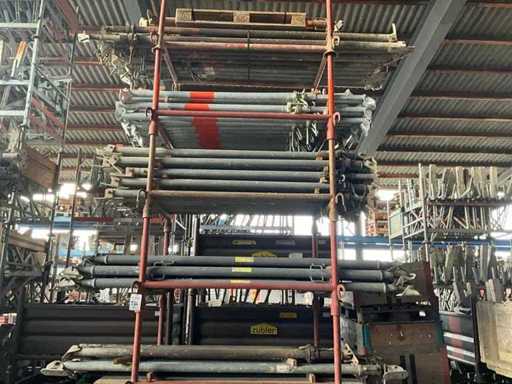 Lăstari de suport în Barele (6x)