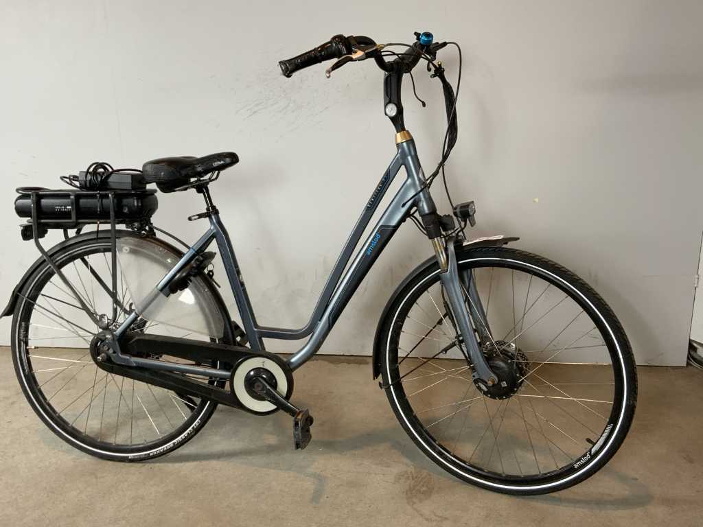 Bicicletă electrică Amslod Hamilton MX