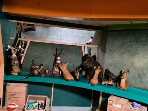 Stuffed animals (9x)