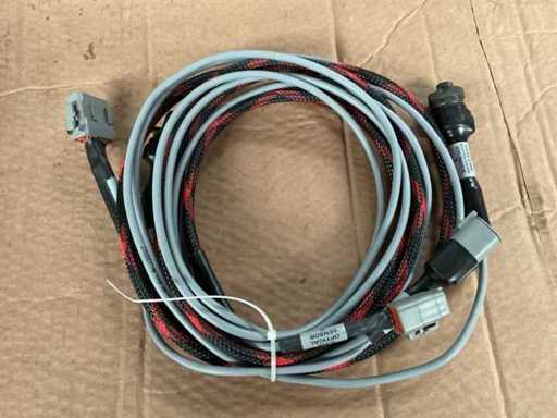 Cablaggio ramificato (2x)