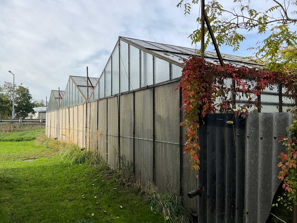Greenhouse Glasshouse