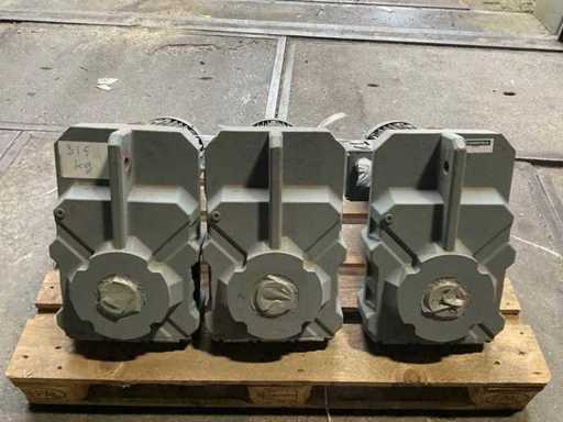 Bauer Electric motor with gearbox (3x)
