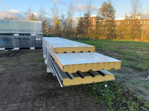 SAB-Profiel - W135.1000 - Wand Sandwichpanelen(6x) 31m2