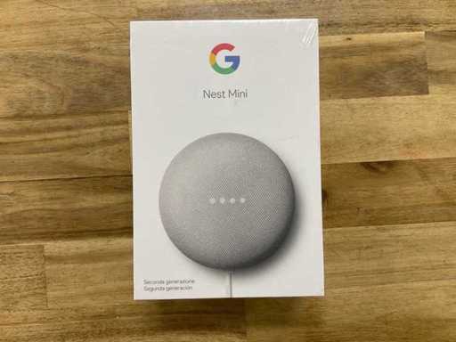 Google Nest mini