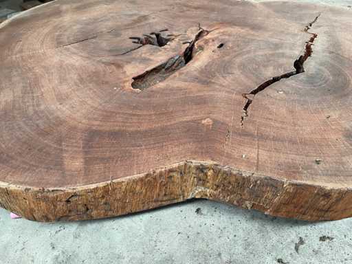 Guyana Teak houten schijf 1300mm