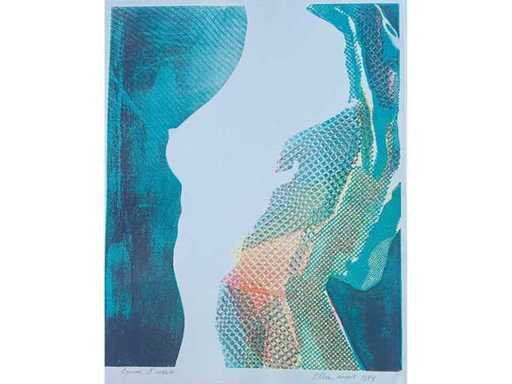 Ellen - colour screen printing 