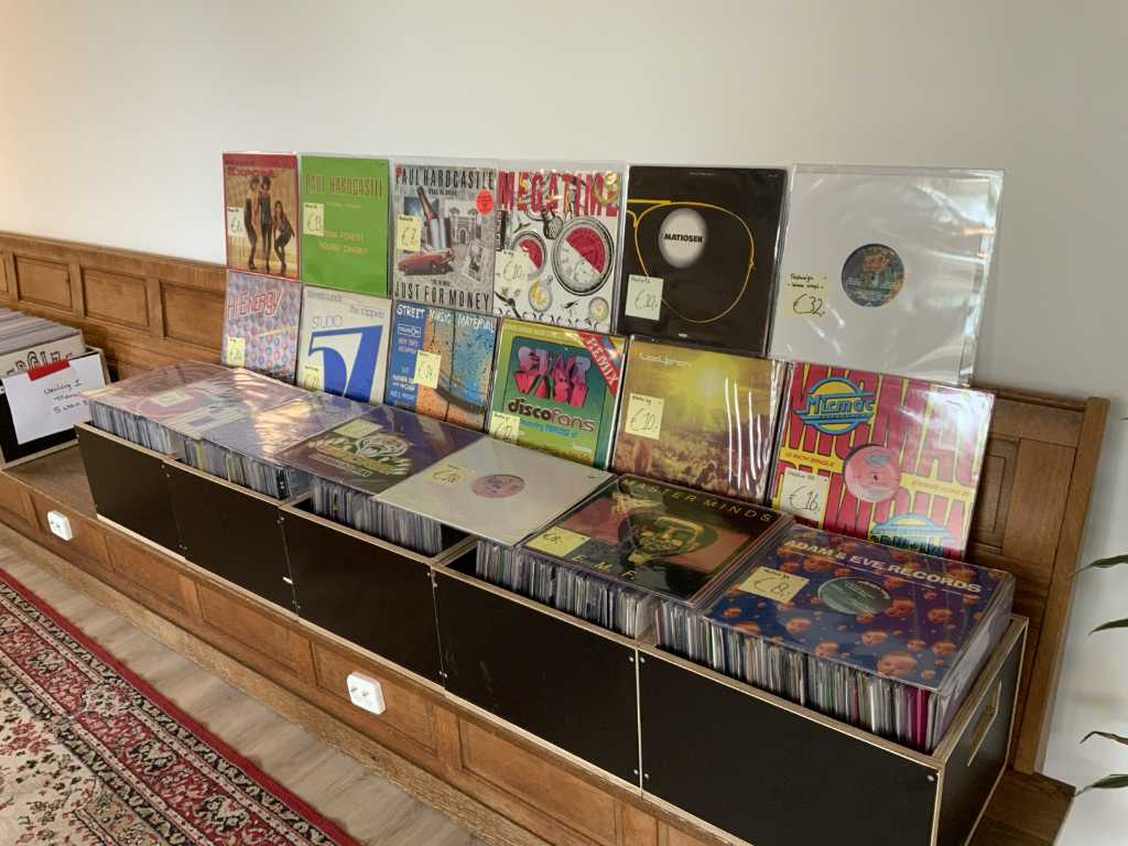 Lot de 600 LP-uri electro/techno