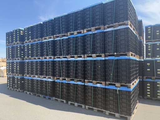  RL- KLT Lot Boîtes en plastique