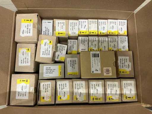 Diverses vis en laiton (6000x)