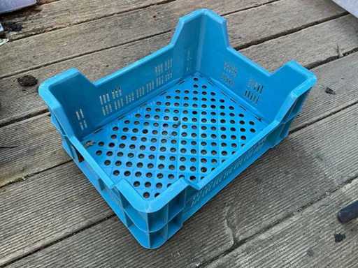 Euro Pool System Stapelbakje (43x)