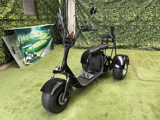 Golf Tricycle