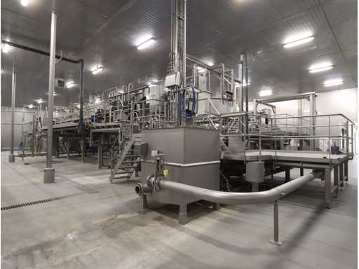 Bankruptcy of CelaVita Foods B.V.