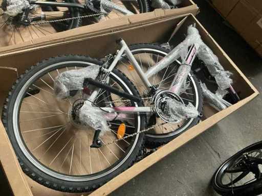 Schiano 26” Range Mountainbike