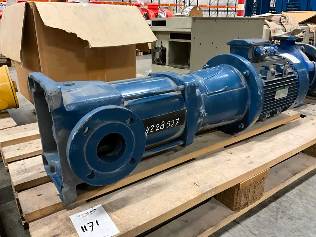 Lowara 33SV03 Multistage pump unit