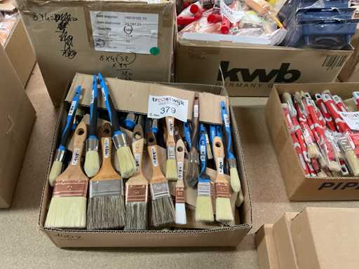 Paint brushes and brushes (100x)