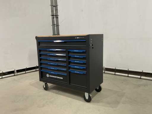 Schwartzmann - Professionele gereedschapswagen met gereedschap