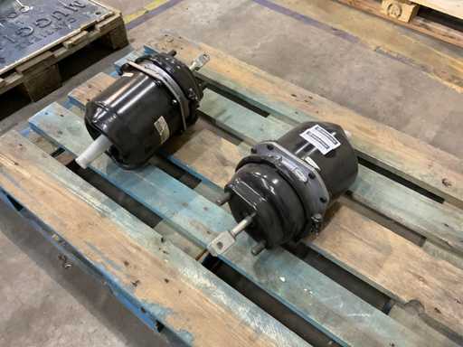 Rem bekrachtigers (2x)