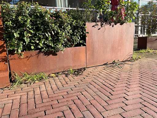 Metalen Plantenbak met inhoud (2x)