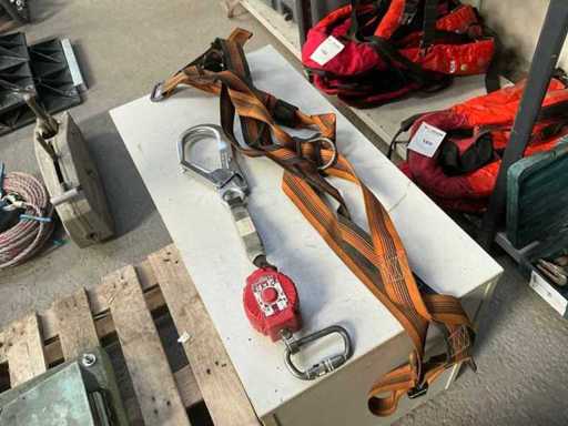 Ceinture de sécurité et pare-choc (2x)