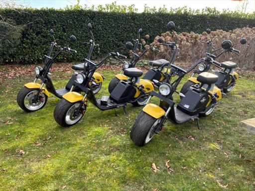 Luqi HL 3.0 E-scooter (5x)