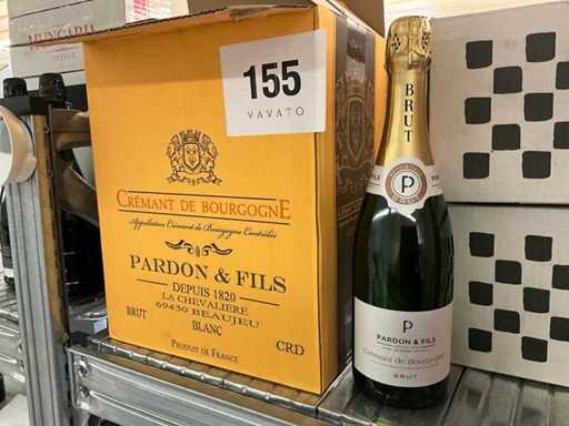 Crémant de Bourgogne (30x)