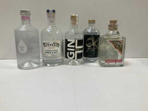 Gin (5x)