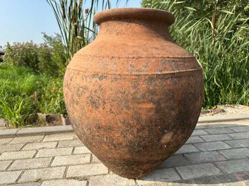 Oal? spaniol? de m?sline