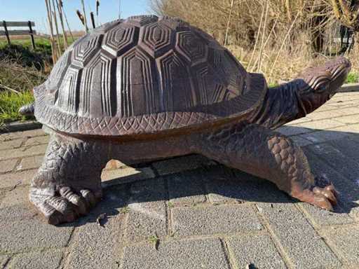 Tortoise 1.10 meters wide