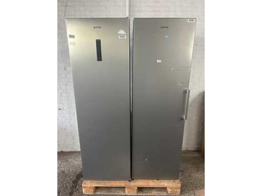 Gorenje R619EES5 koelkast | Gorenje Vriezer