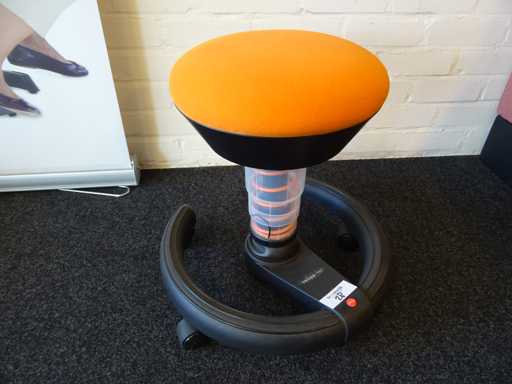 Aeris - Swoppster - Ergonomische bureaustoel