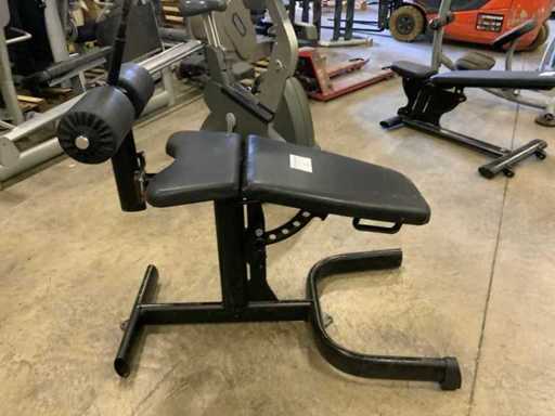 Gym80 Signum Abdominal bench Krachtstation