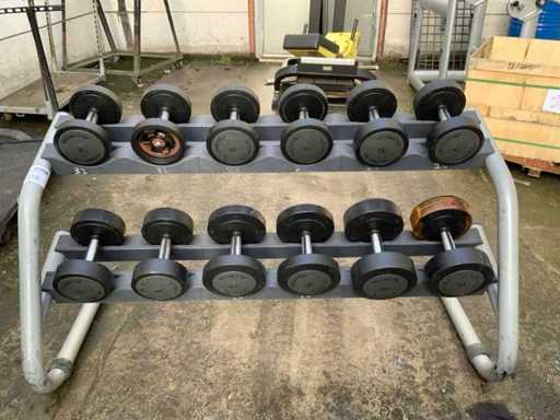 Technogym série 4 dumbell ; 6; 10; 12; 14; Multi-salle 22kgx2