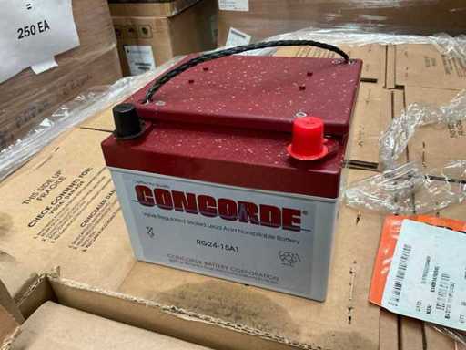 Batterie Concorde RG24-15A1