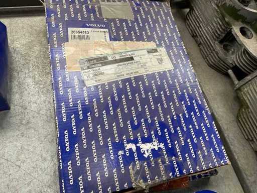 Volvo 20854583 Mirror glass (2x)