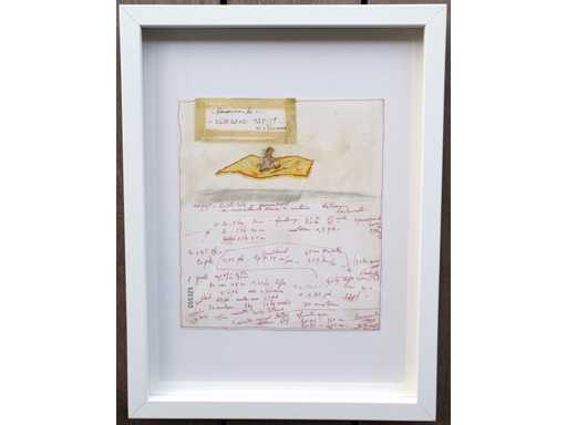 Panamarenko - Flying carpet - offset