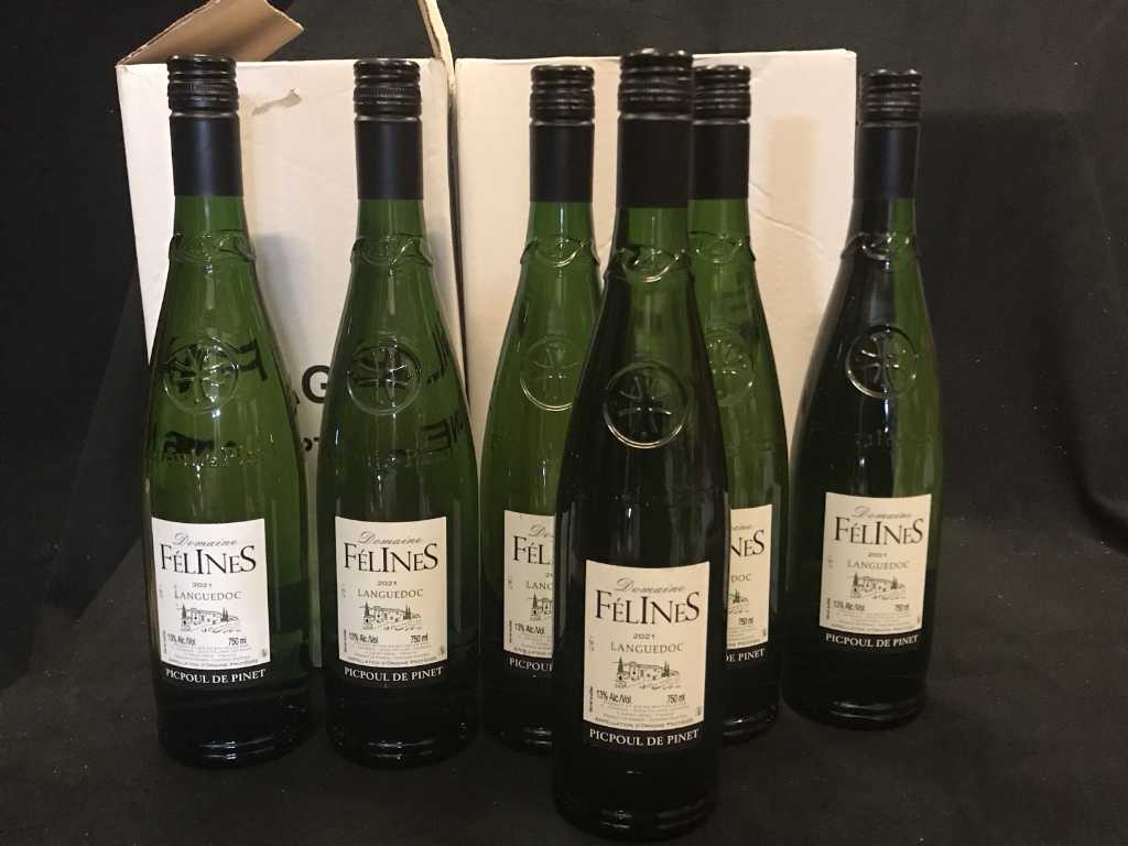 2021 Picpoul de Pinet - Félines Białe wino (12x)