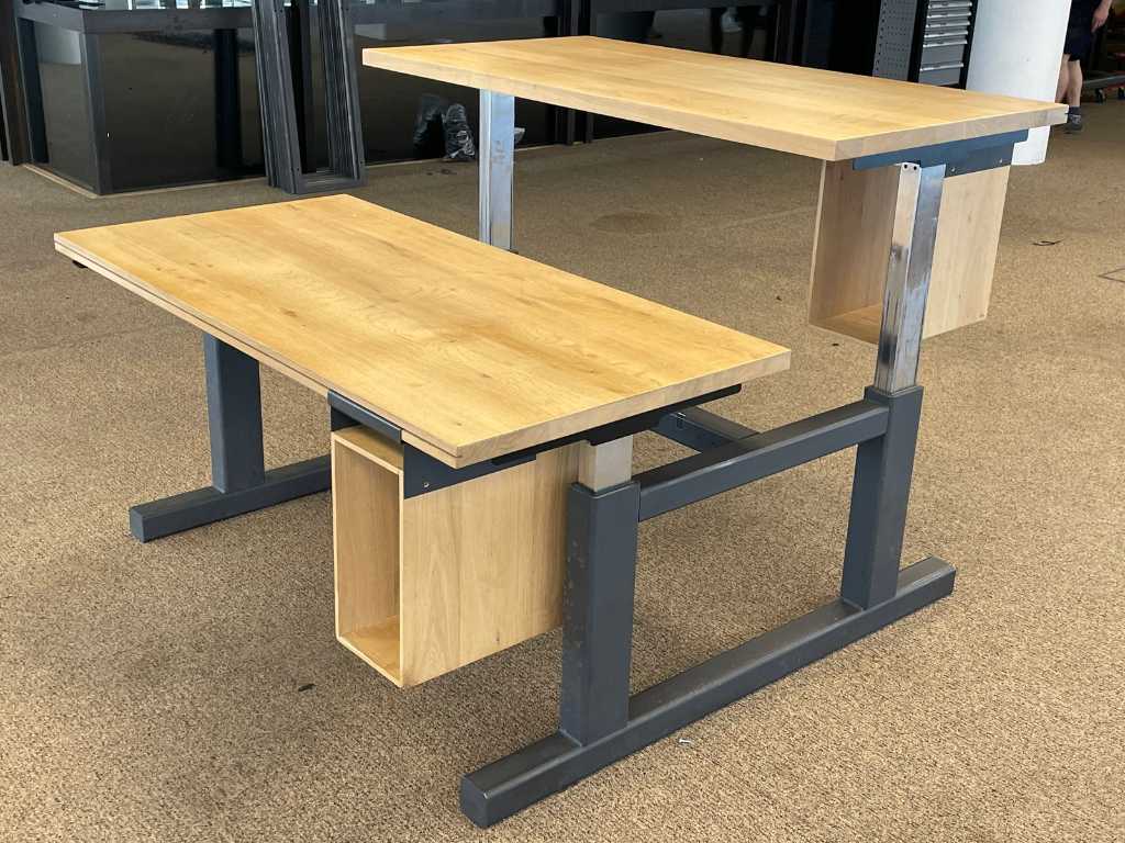 Monasa - Bonanza industrial - duo zit-sta bureau