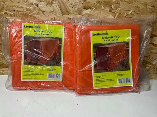 Jumbo Dekzeil 4x6m (2x)