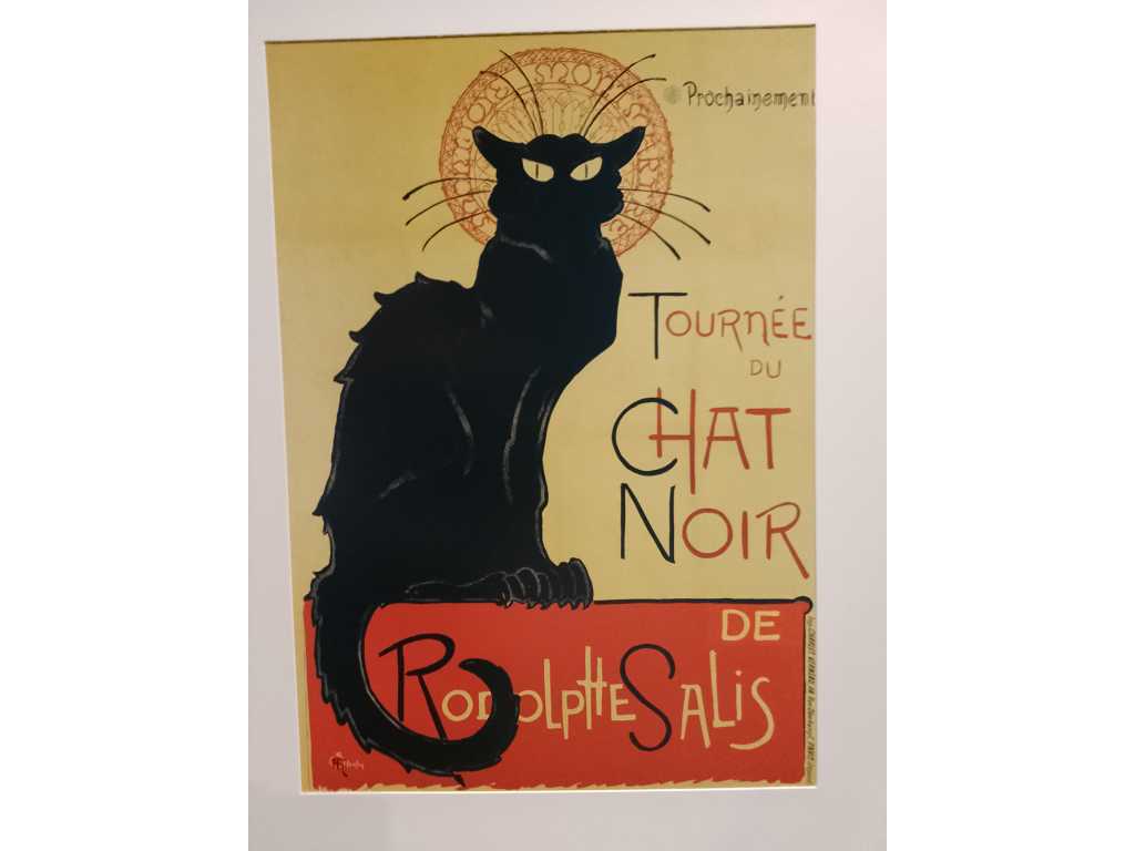 Tournee du chat Noir