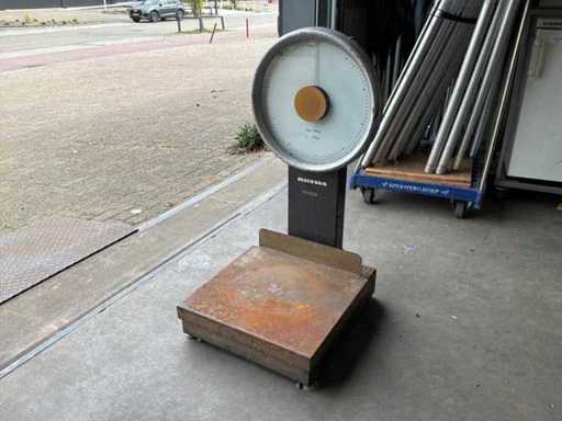 Skala podłogowa Rhewa