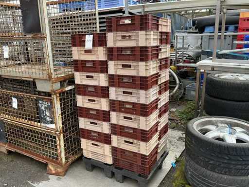 Kunststof Stapelkratten (20x)