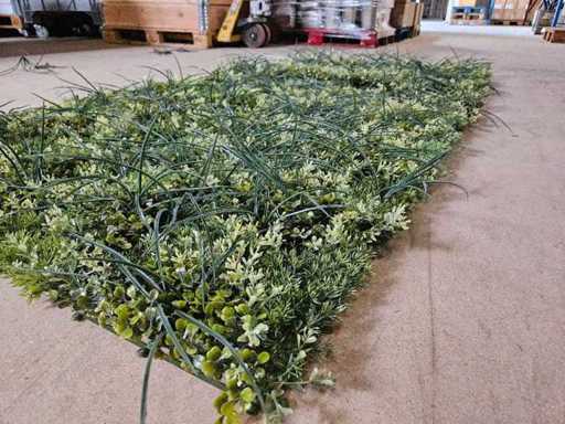 9m² greenwall