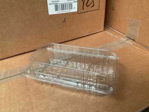 Vesciglie di ciambella (8000x)