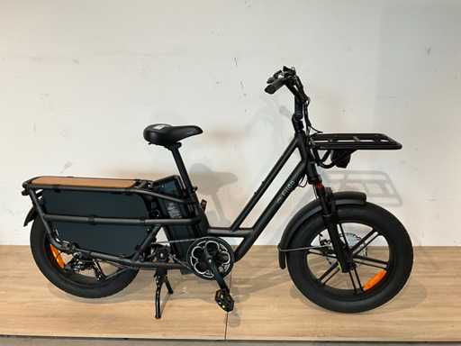 Fiido T2 Transportfiets