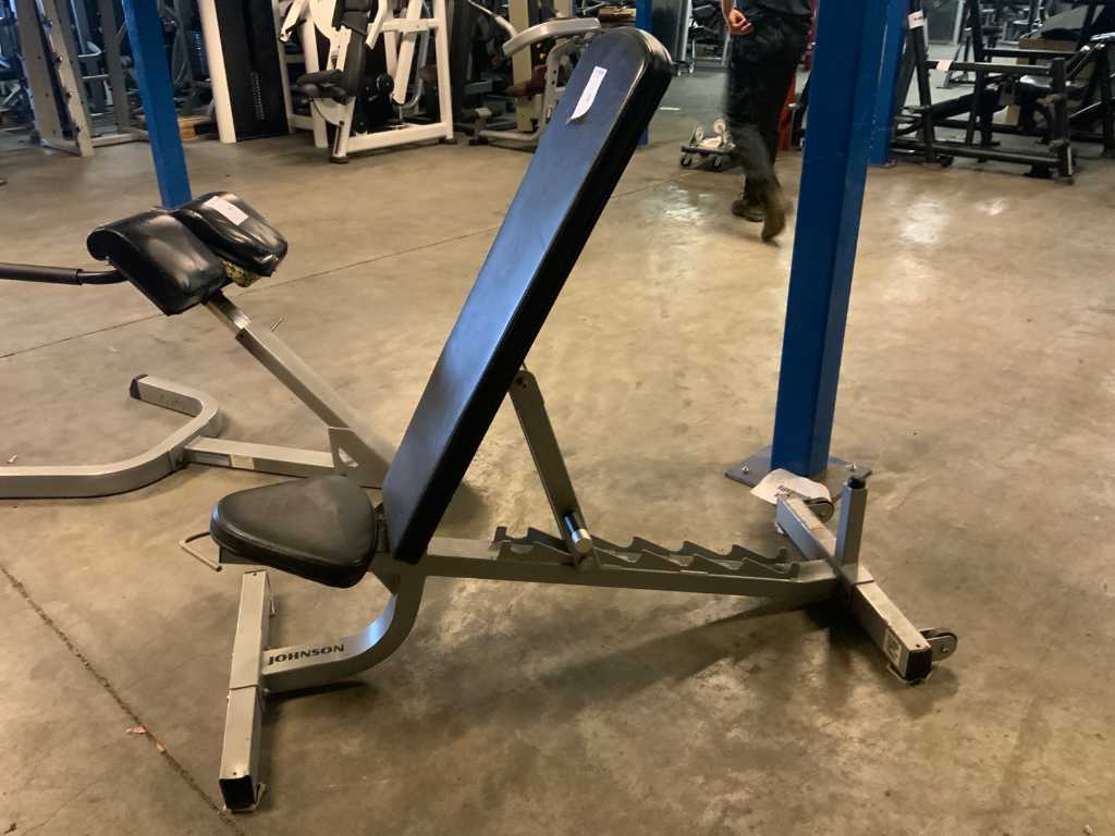 Centrala electrica cu banc reglabil Johnsson Bench