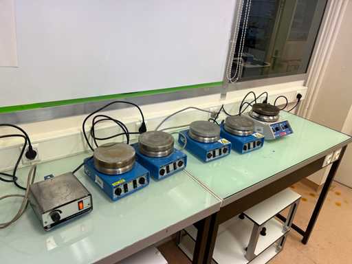 Magnetische roeraars (6x)